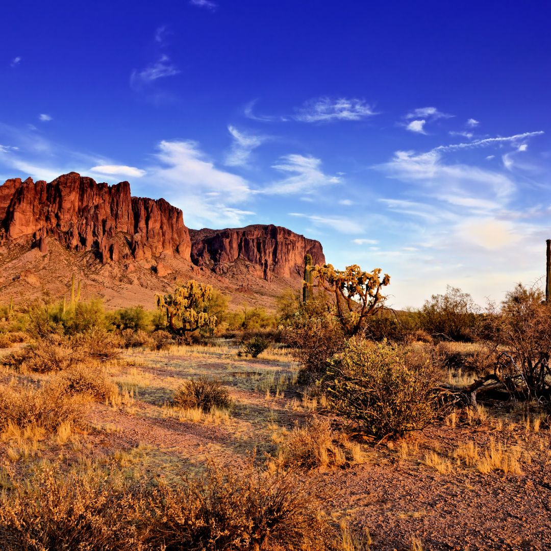 Best RV Resort in Arizona Nature Retreat