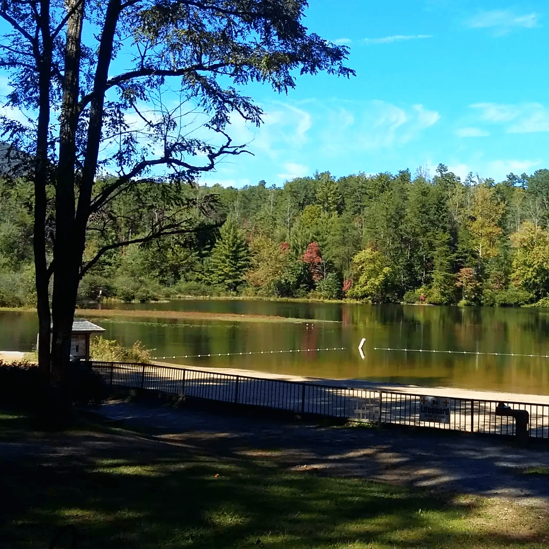 Lake Powhatan Recreation Area and Campground - Ash