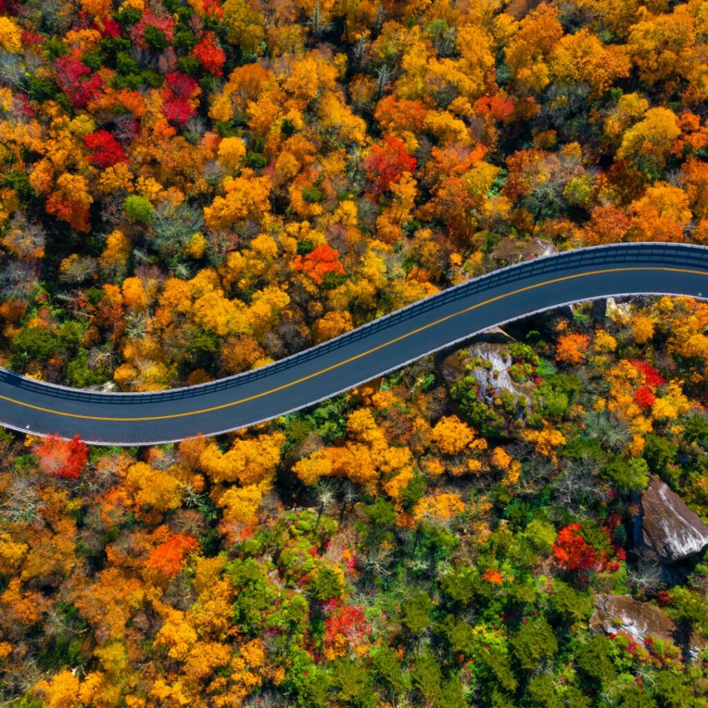 Fall drone image of Blue Ridge Parkway road