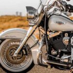 Man on white Harley Davidson
