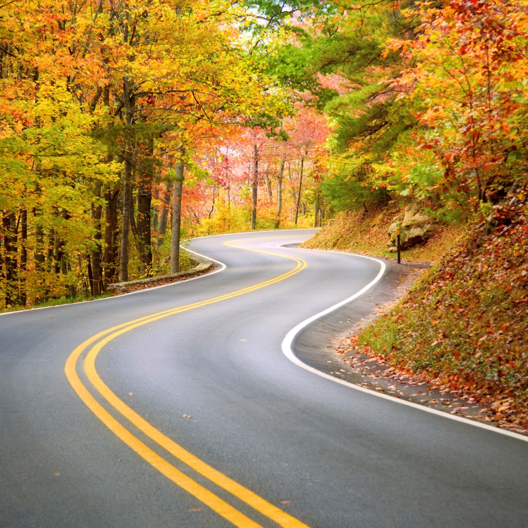 Road twisting through fall foliage in Vermont