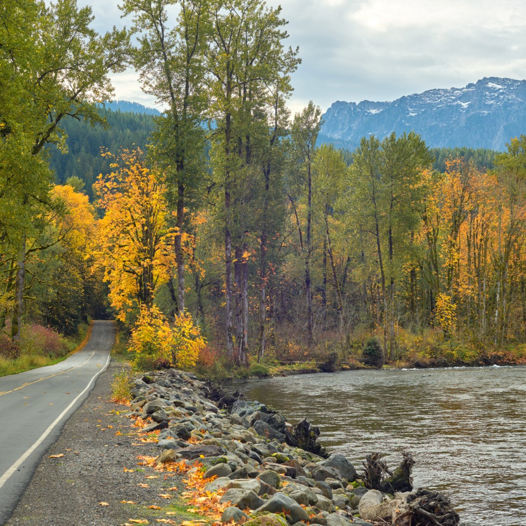 Road along river and fall foliage in Washington state